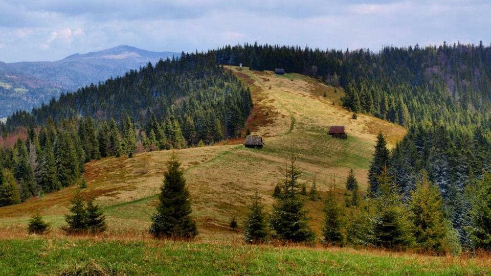 Wasielowka Poręba Wielka エクステリア 写真
